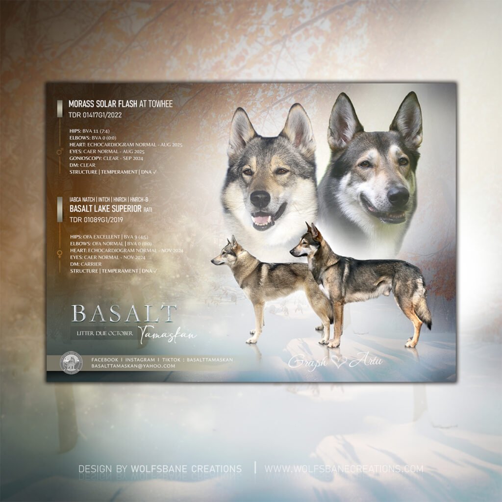 Basalt (Graph x Artu)