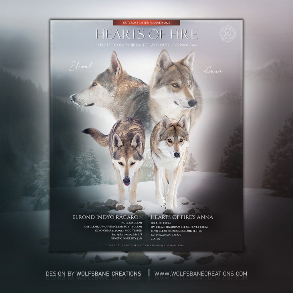 Hearts of Fire (Anna x Elrond)