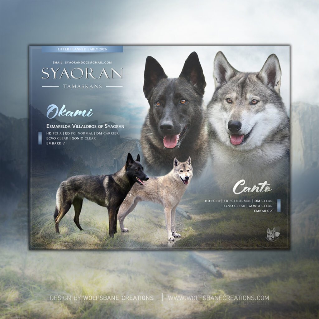 Syaoran (Okami x Canto)